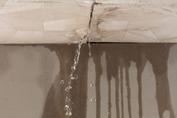 Professional Water Damage Repair technician working in Granger, IN